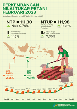 NTB, Februari 2023 Perkembangan Nilai Tukar Petani